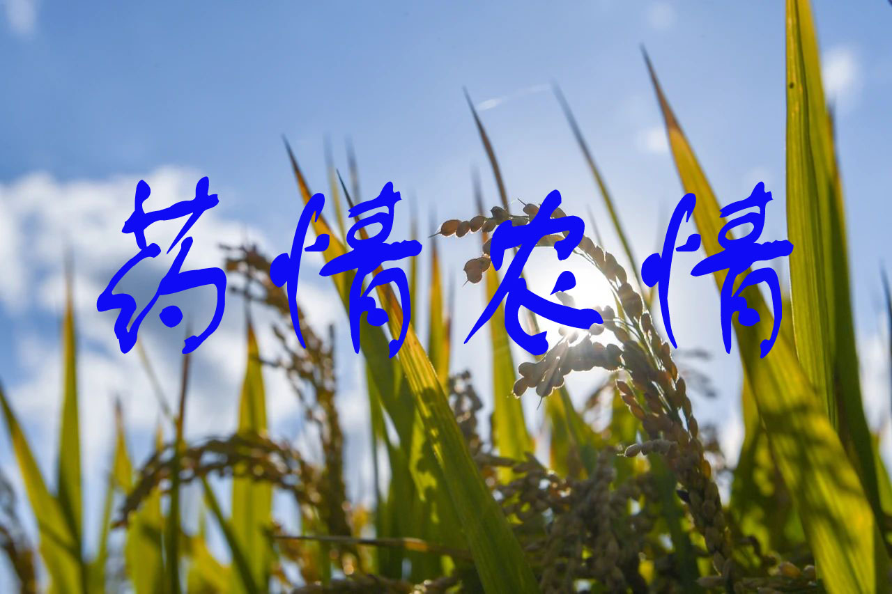 2025年4月部分杀虫剂产品产量和库存