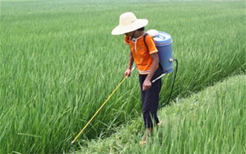 US crop protection distributors’ sales decrease 3.5% during 2015