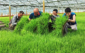 Chinas nine-month pesticide output up 20%