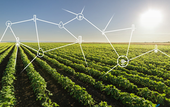 Three agricultural industry guidelines approved by GRC